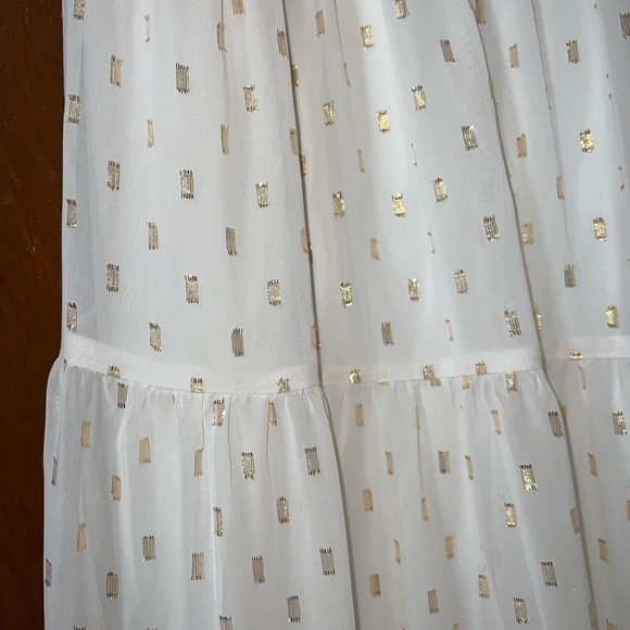 Express Chiffon Maxi Dress - Picture 7 of 7